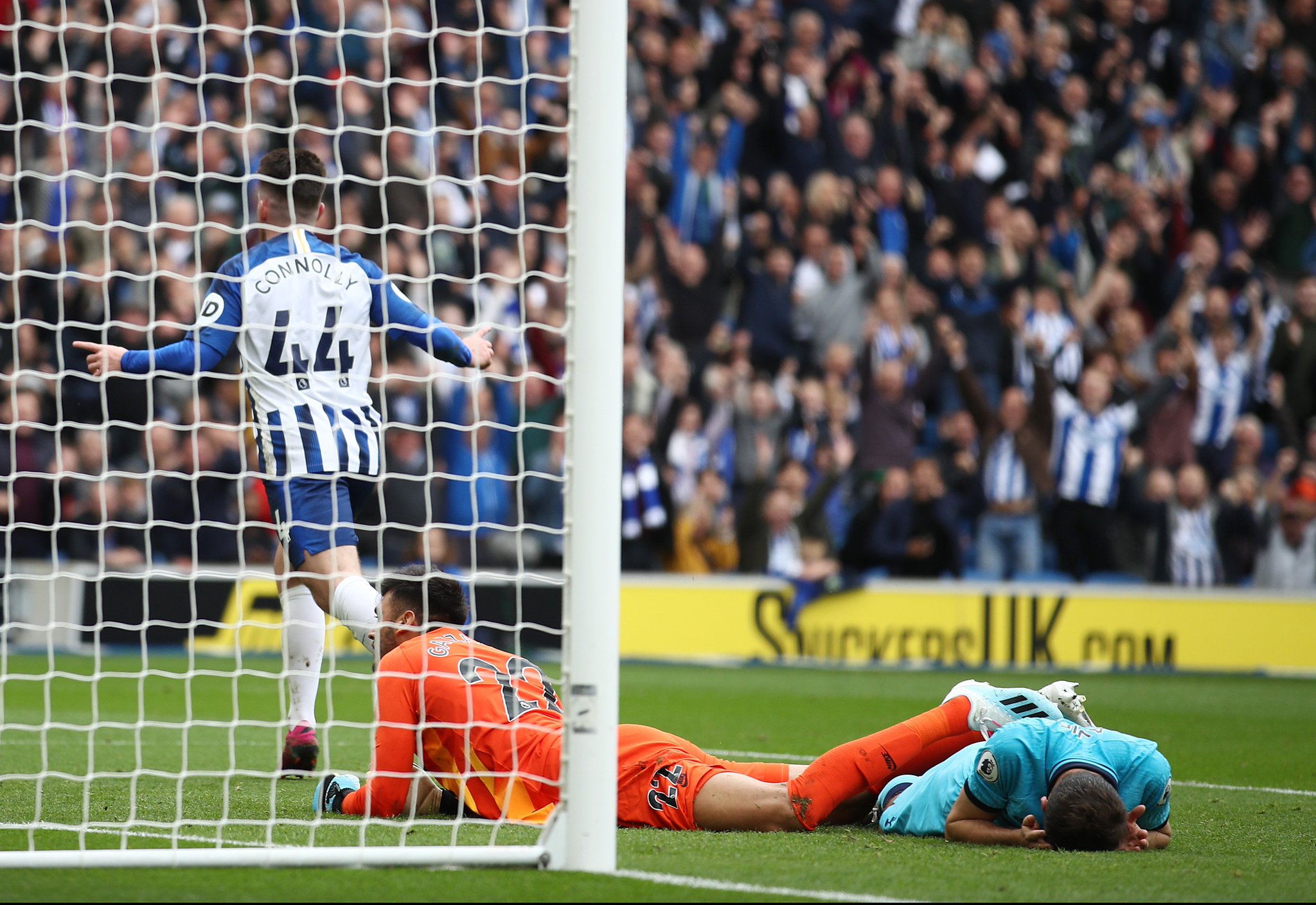 安排也颇具 安排也颇具